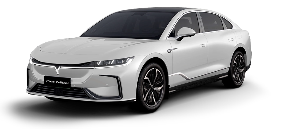 Выберите свой Haval PASSION EV Белый